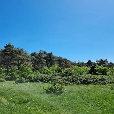 Angerdorf Nr 21
