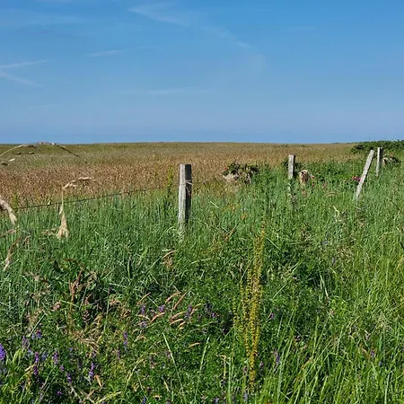 Holiday home Angerdorf Nr 21 Cuxhaven