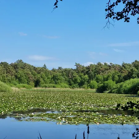 Angerdorf Nr 21 Сasa de vacaciones *